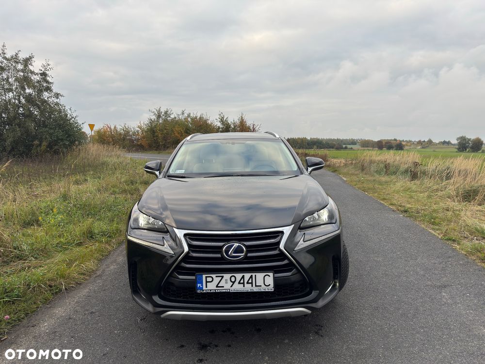 Lexus NX 300h Comfort AWD - 7