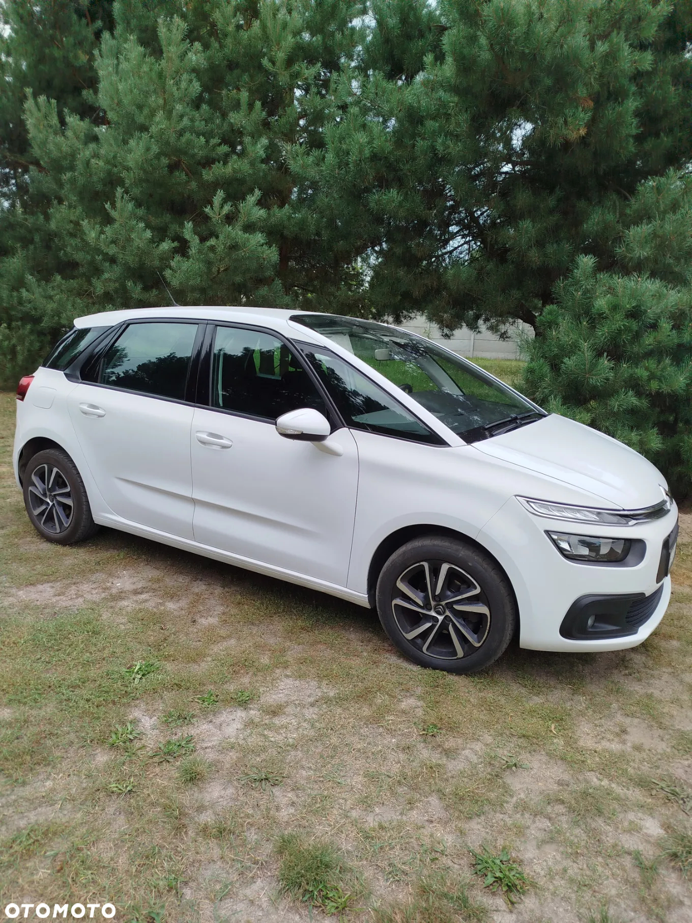 Citroën C4 Picasso 1.6 BlueHDi Attraction - 21