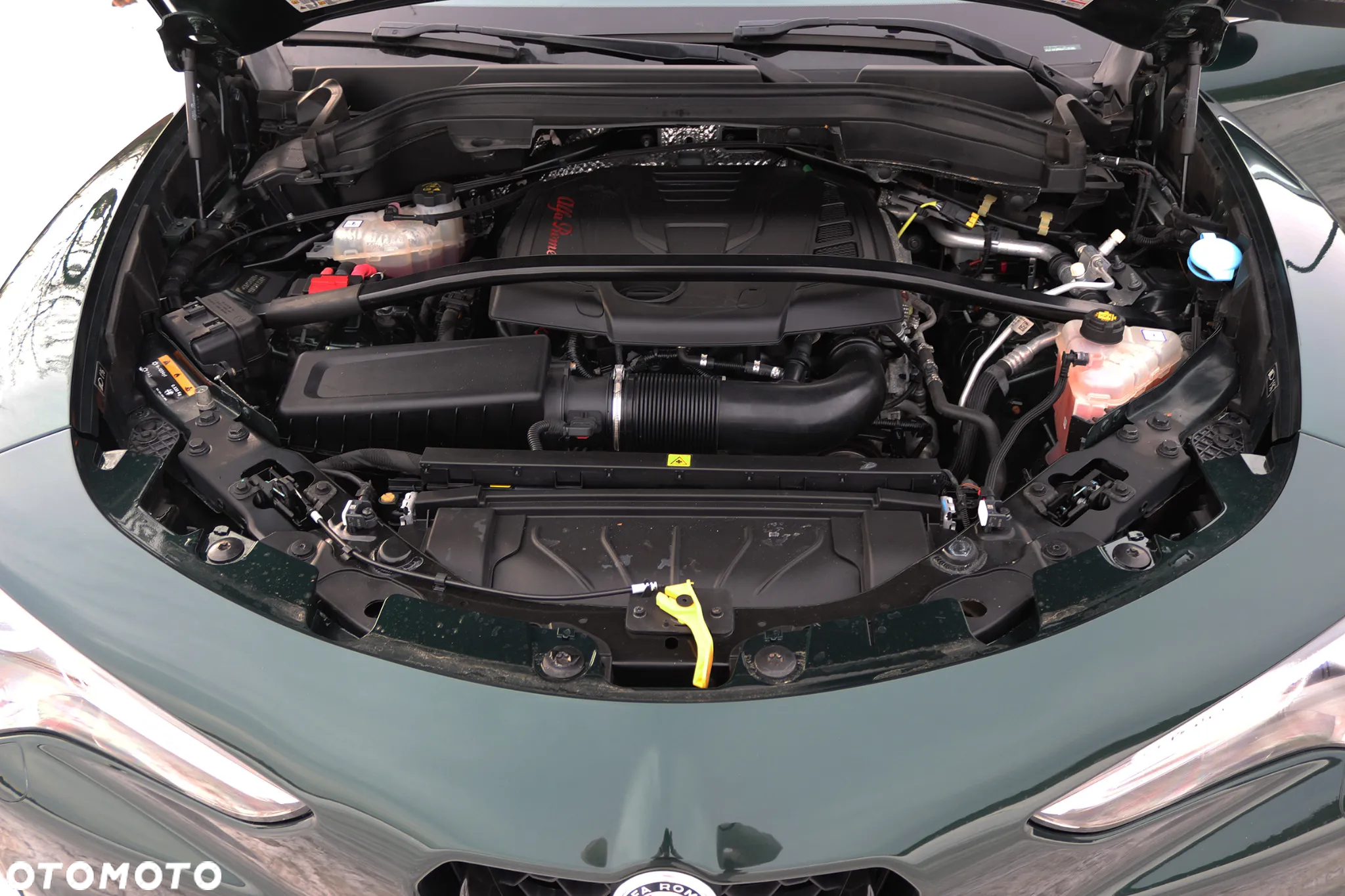 Alfa Romeo Stelvio 2.0 Turbo TI Q4 - 24