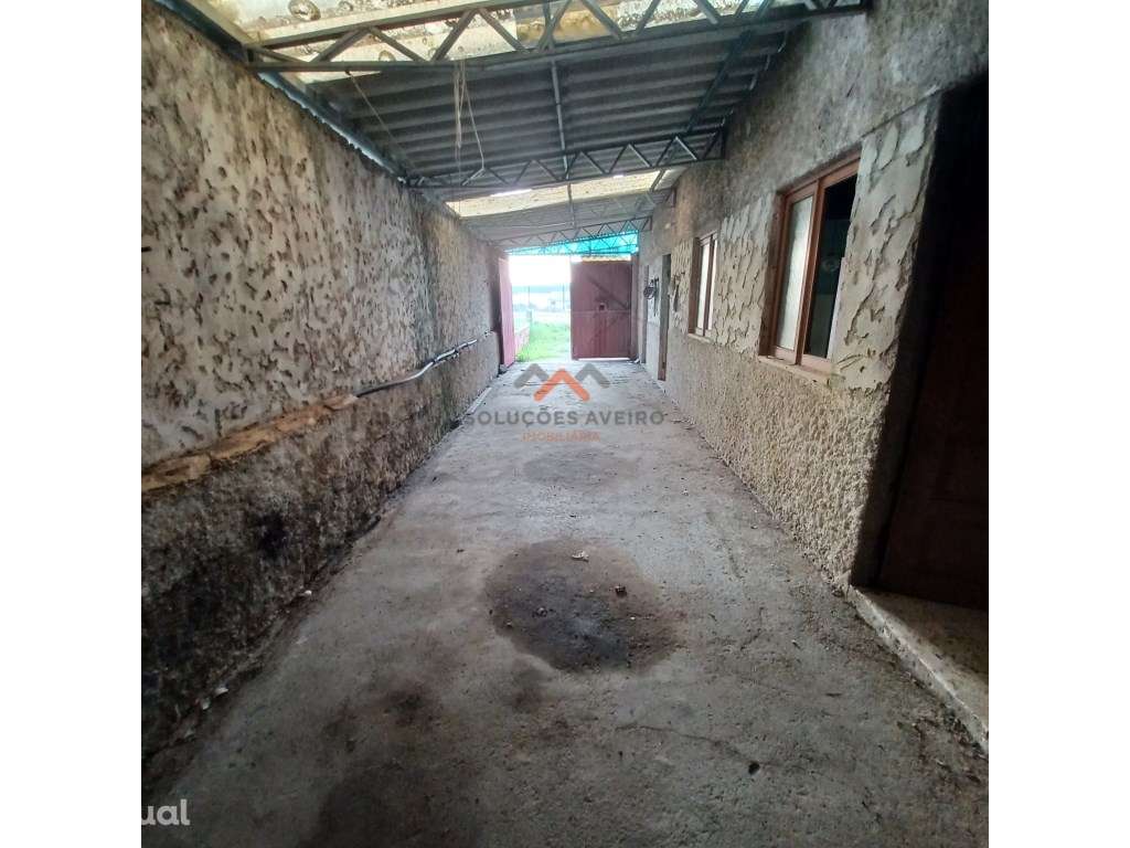 Moradia T2 para Remodelar | Bustos - Oliveira do Bairro - Grande imagem: 3/30