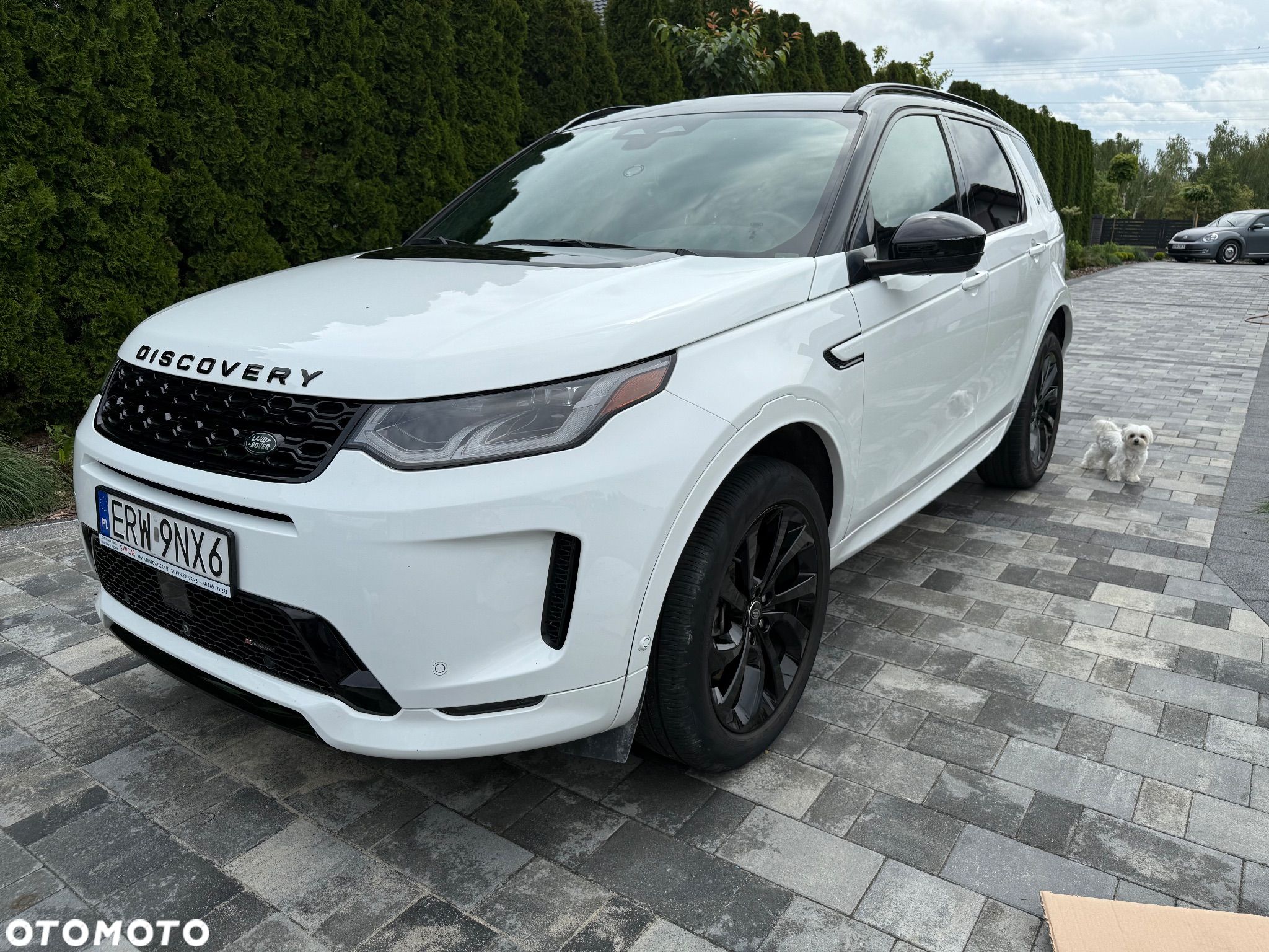 Land Rover Discovery Sport P250 R-Dynamic - 1