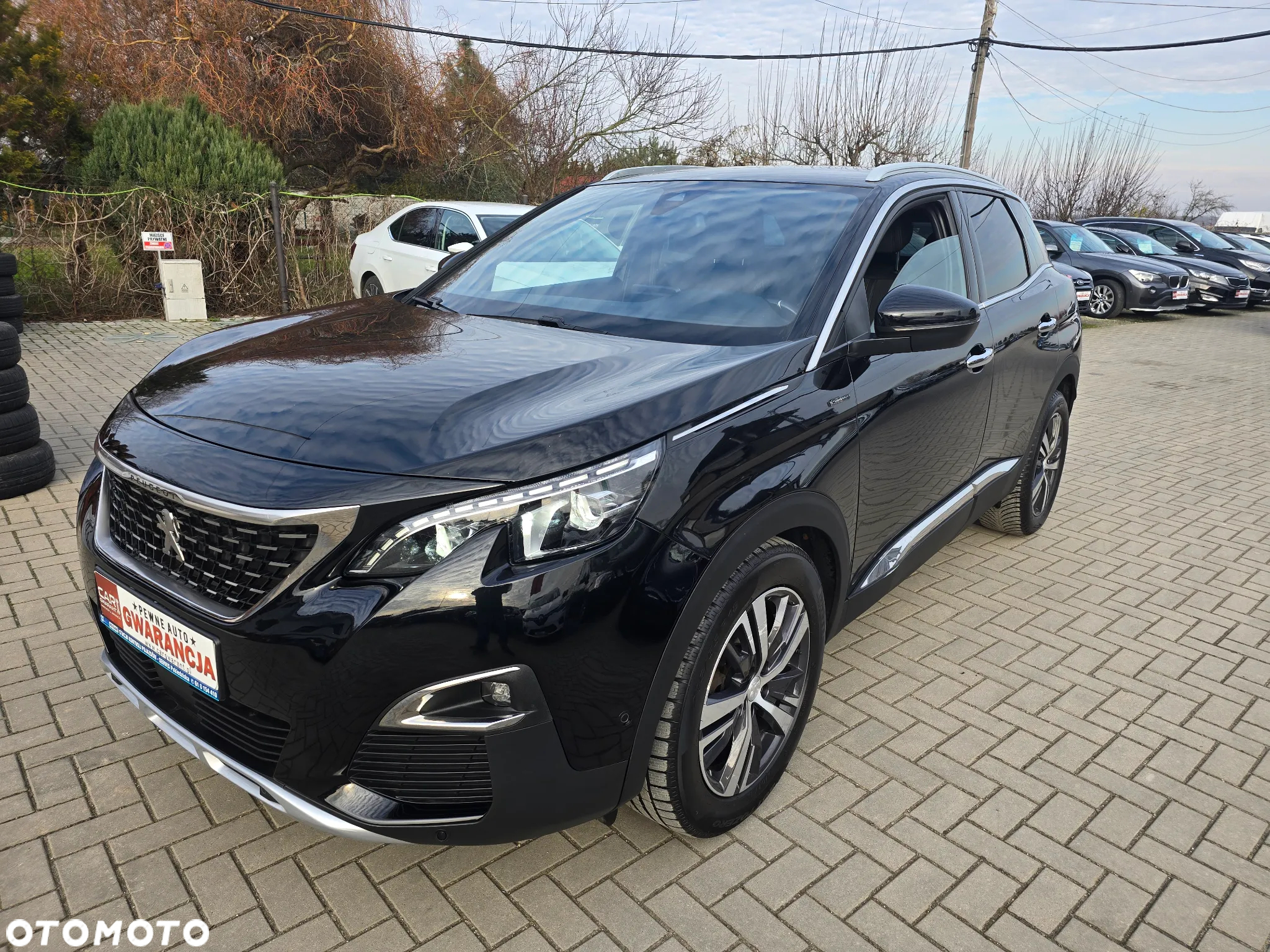 Peugeot 3008 - 2