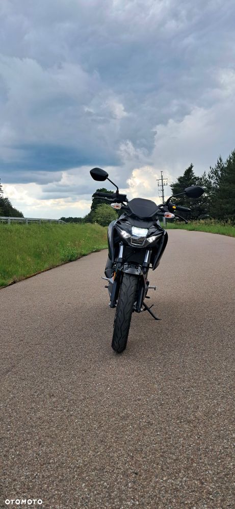Suzuki GSX - 17