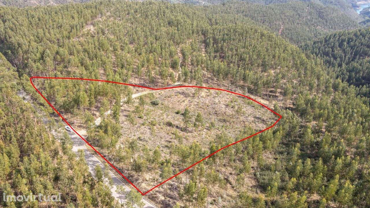 Terreno Rústico em Cernache do Bonjardim, Sertã! - Grande imagem: 5/10