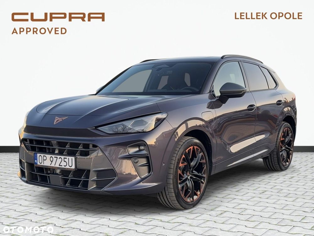 Cupra Terramar - 2