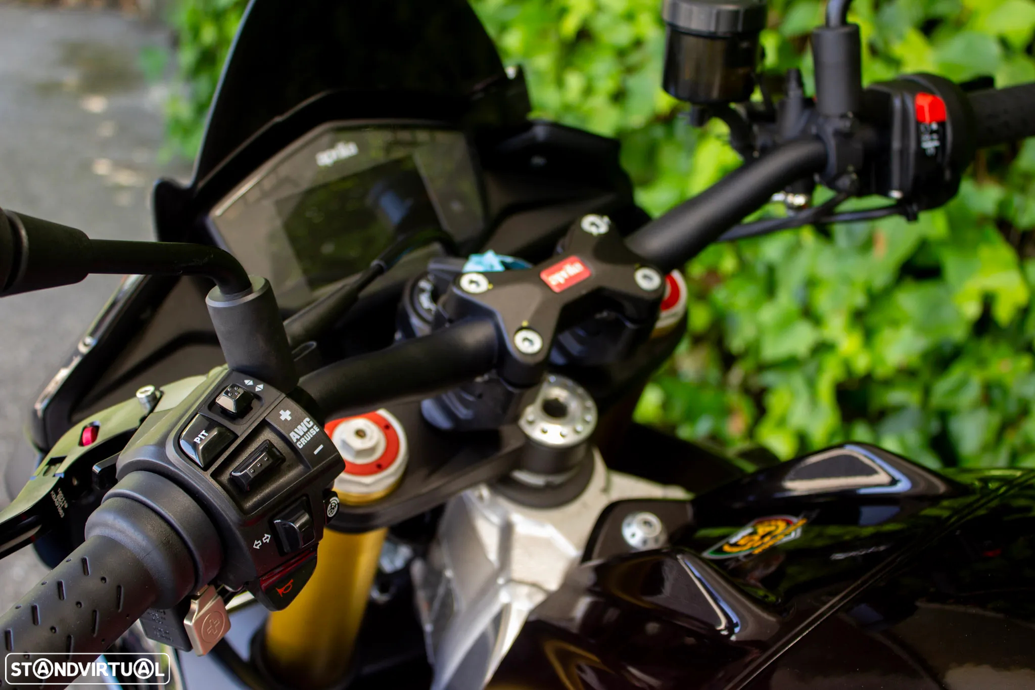 Aprilia Tuono V4 Factory - 9