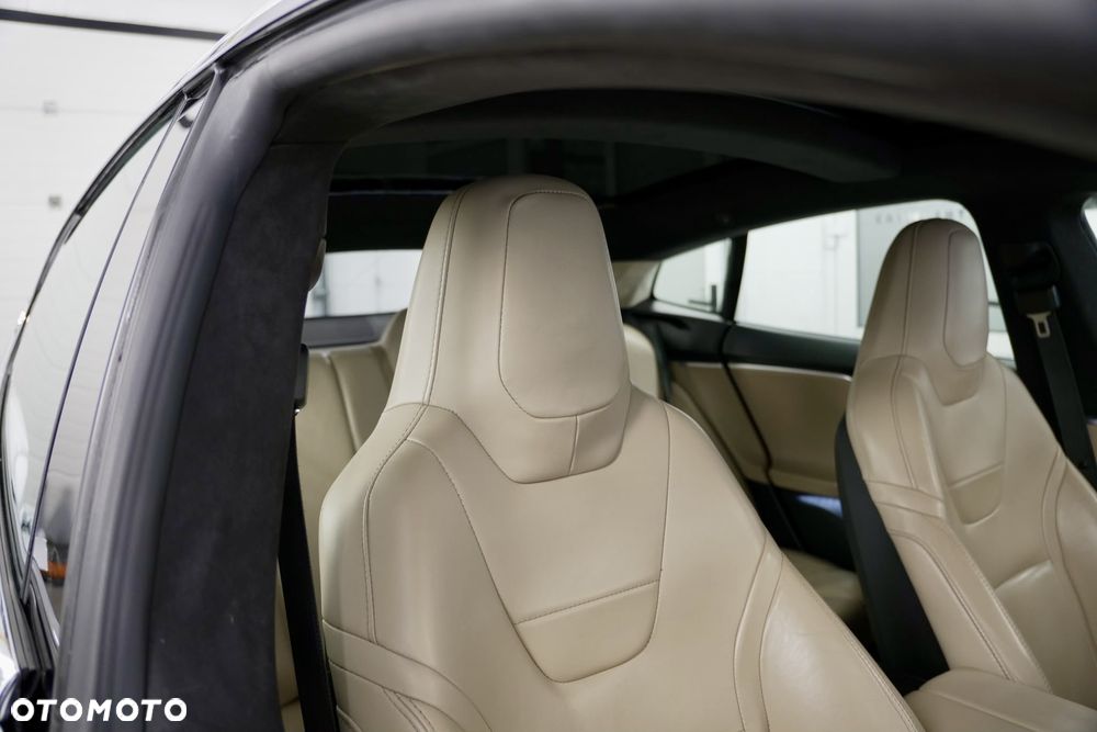 Tesla Model S Performance - 19