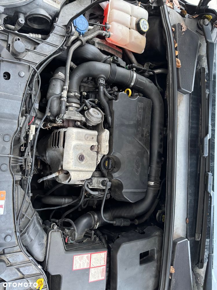 Ford Focus 1.0 EcoBoost Start-Stopp-System Champions Edition - 5