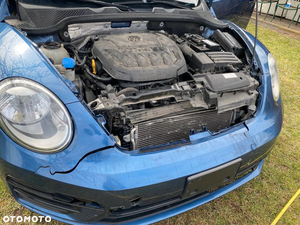 Volkswagen Beetle - 14