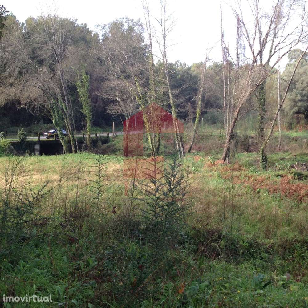 Moinho, Arcozelo - Grande imagem: 4/12