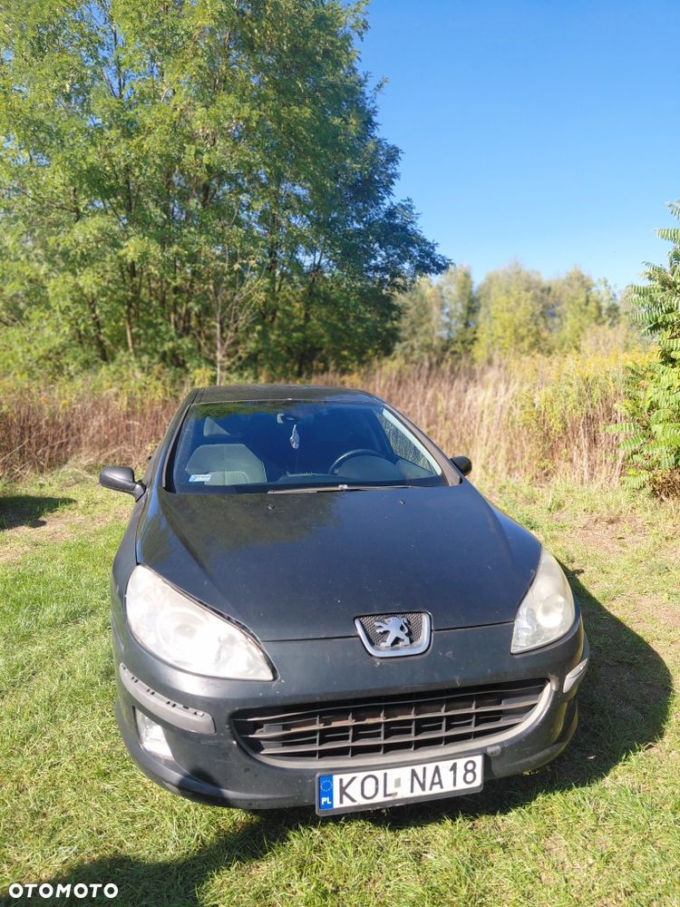 Peugeot 407