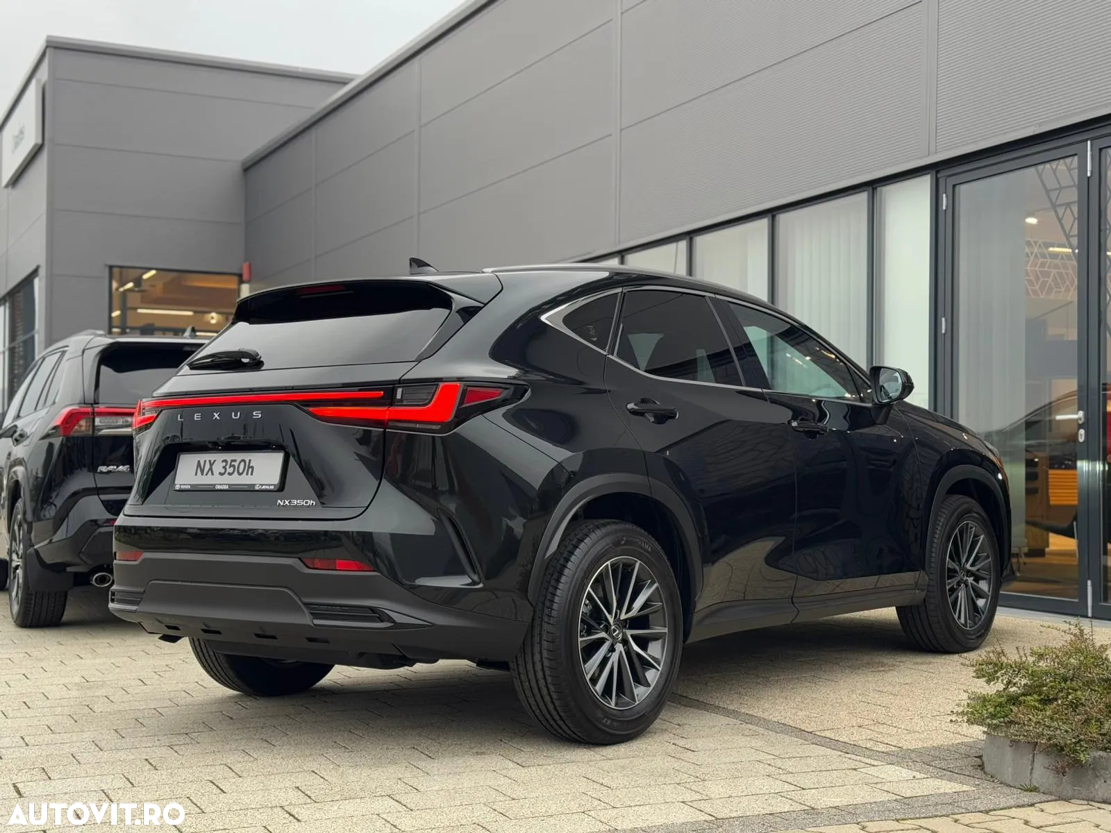 Lexus Seria NX 350h AWD CVT HEV Executive - 7