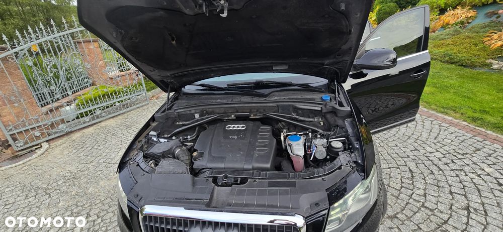 Audi Q5 - 17