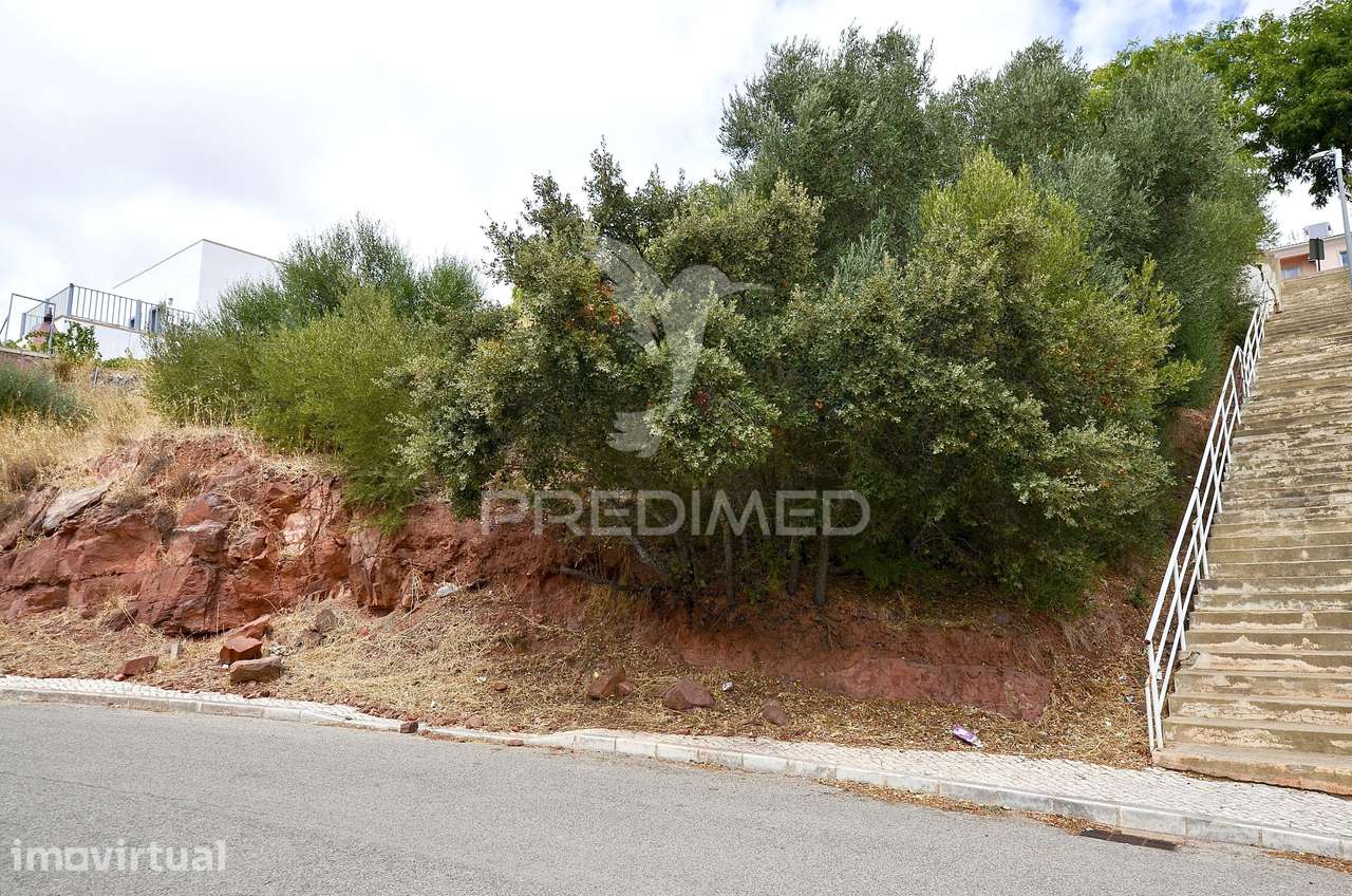 LOTE URBANO COM VIABILIDADE DE CONSTRUÇÃO EM SÃO BARTOLOMEU DE MESS... - Grande imagem: 5/15