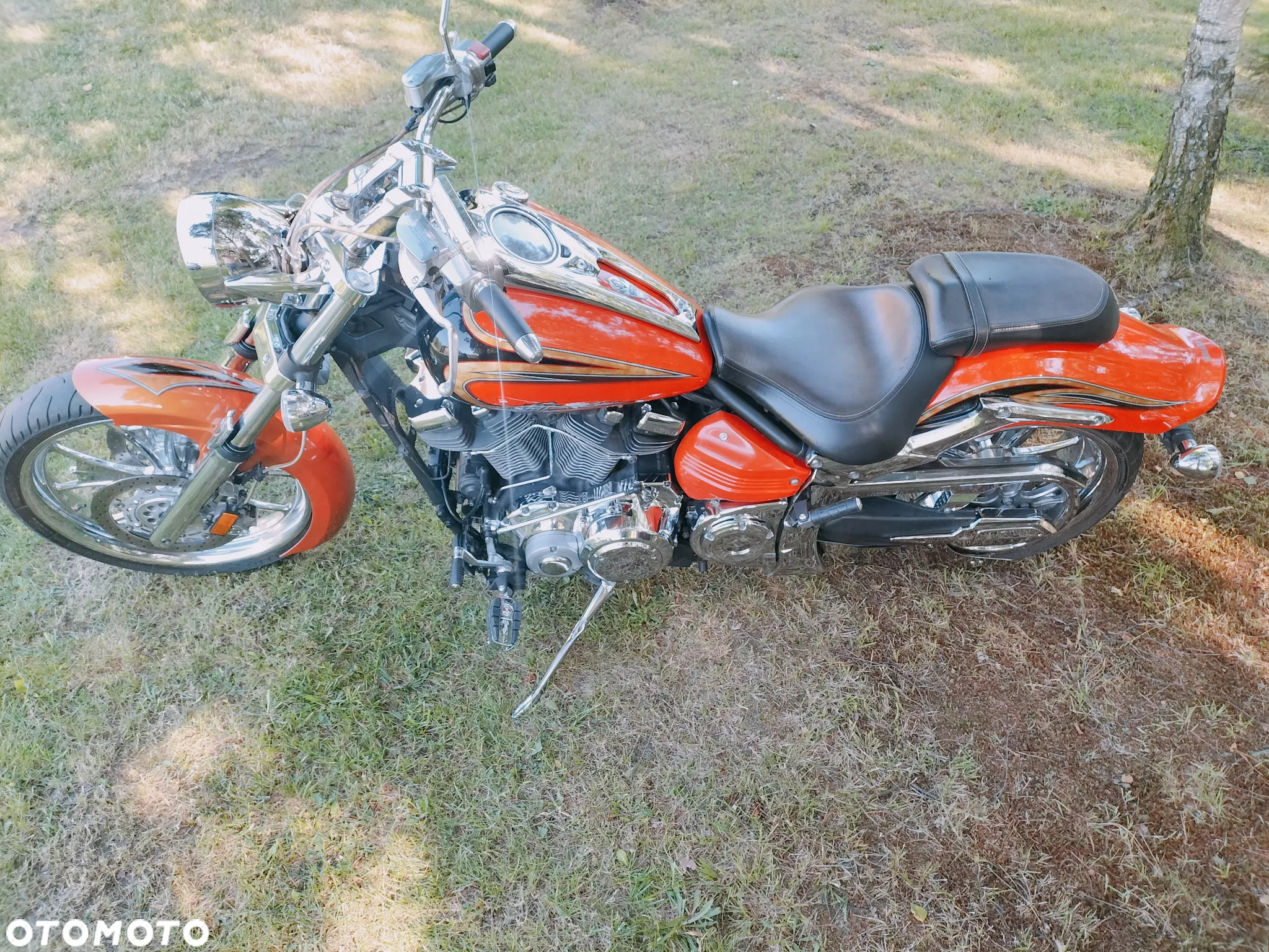 Yamaha Raider - 8