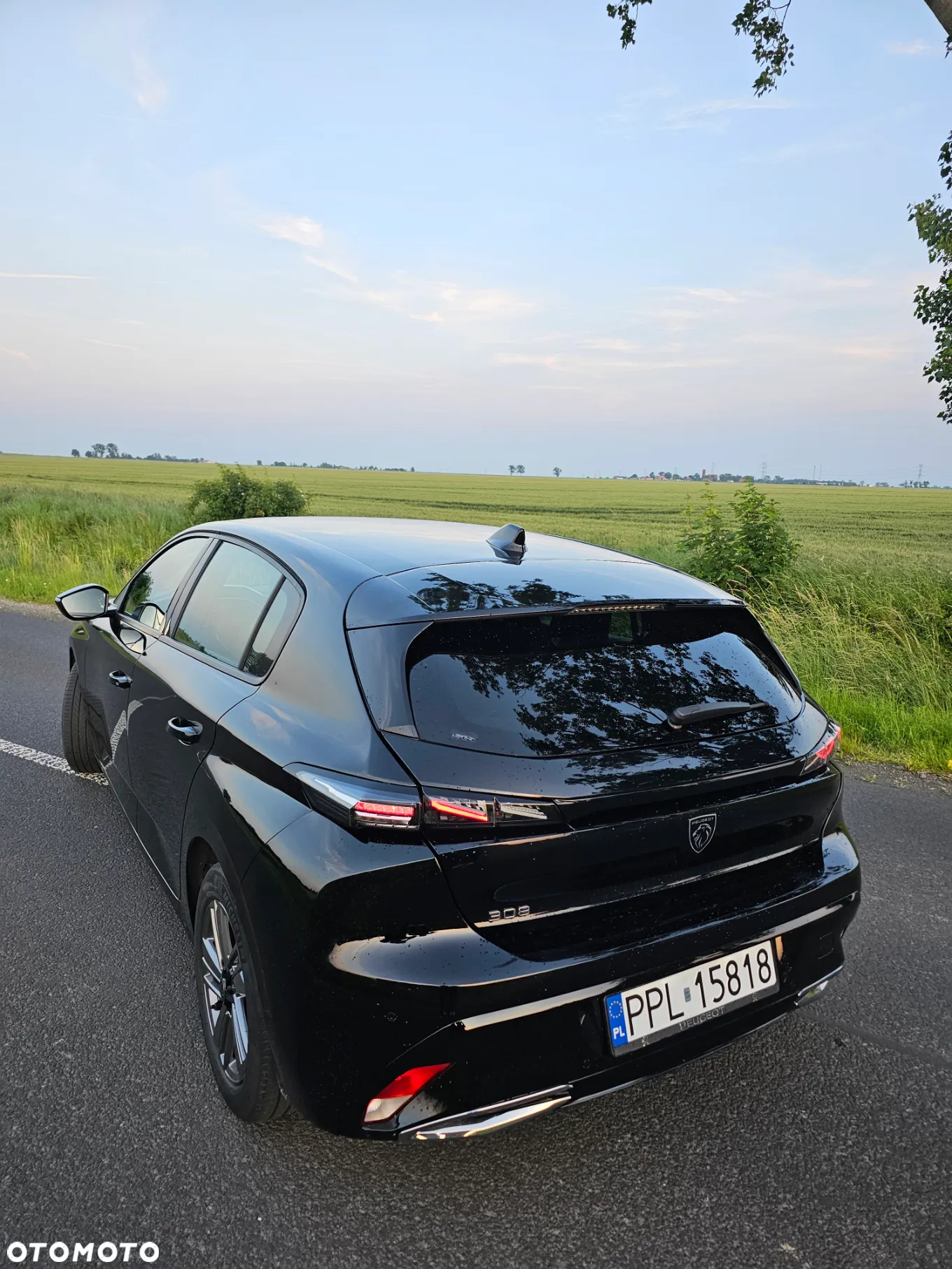 Peugeot 308 1.5 BlueHDi Allure S&S EAT8 - 5