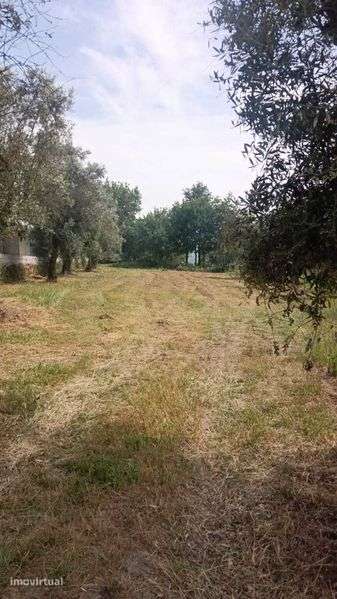 Terreno Urbanizável em Tonda, Tondela - Grande imagem: 2/2