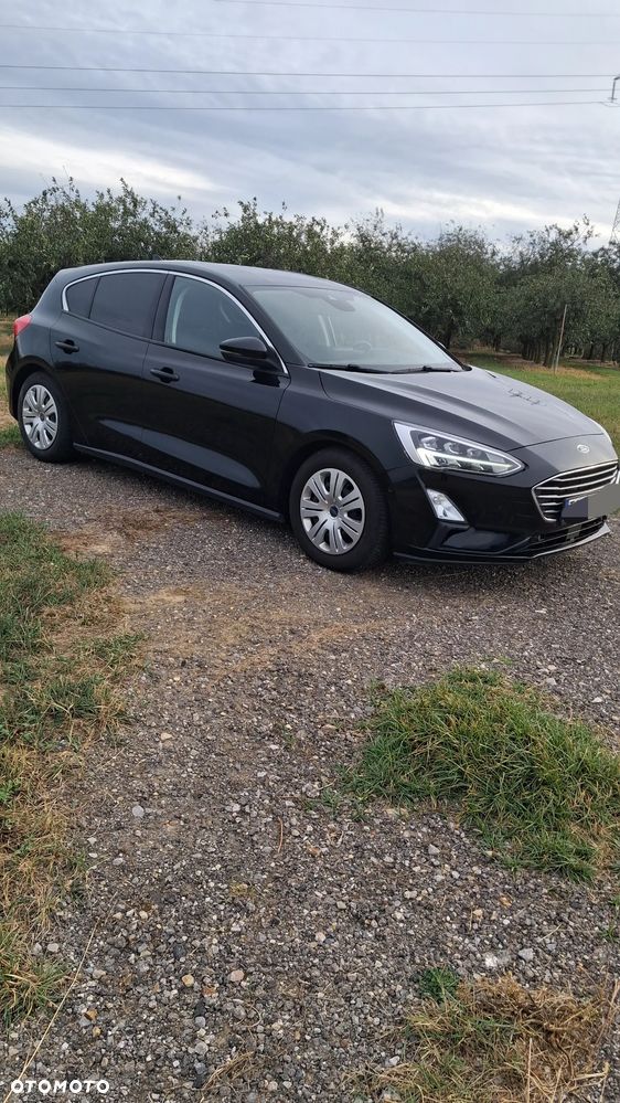 Ford Focus 2018 photo 3