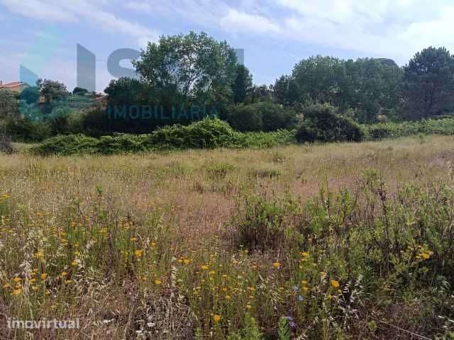 Oportunidade ÚNICA VENDE-SE TERRENO MONTE REDONDO TORRES VEDRAS - Grande imagem: 5/5