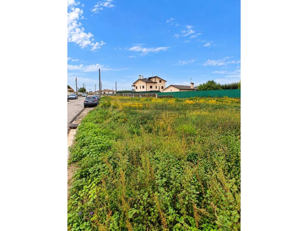 TERRENO URBANIZÁVEL COM 1.240 m² NA TROFA - ÁGUEDA - Grande imagem: 4/5