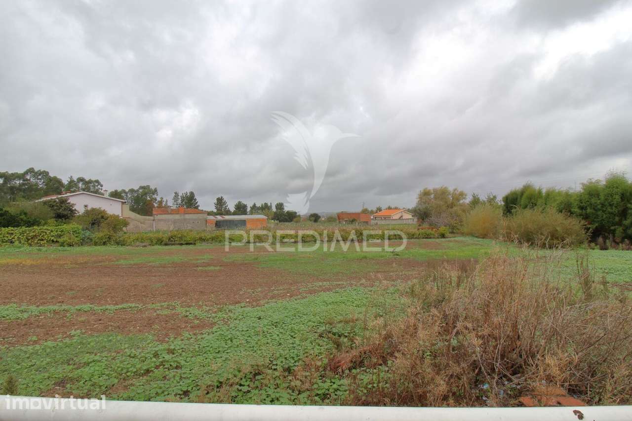 Terreno com 30 metros de frente para construção de moradia em Oiã - Grande imagem: 5/10
