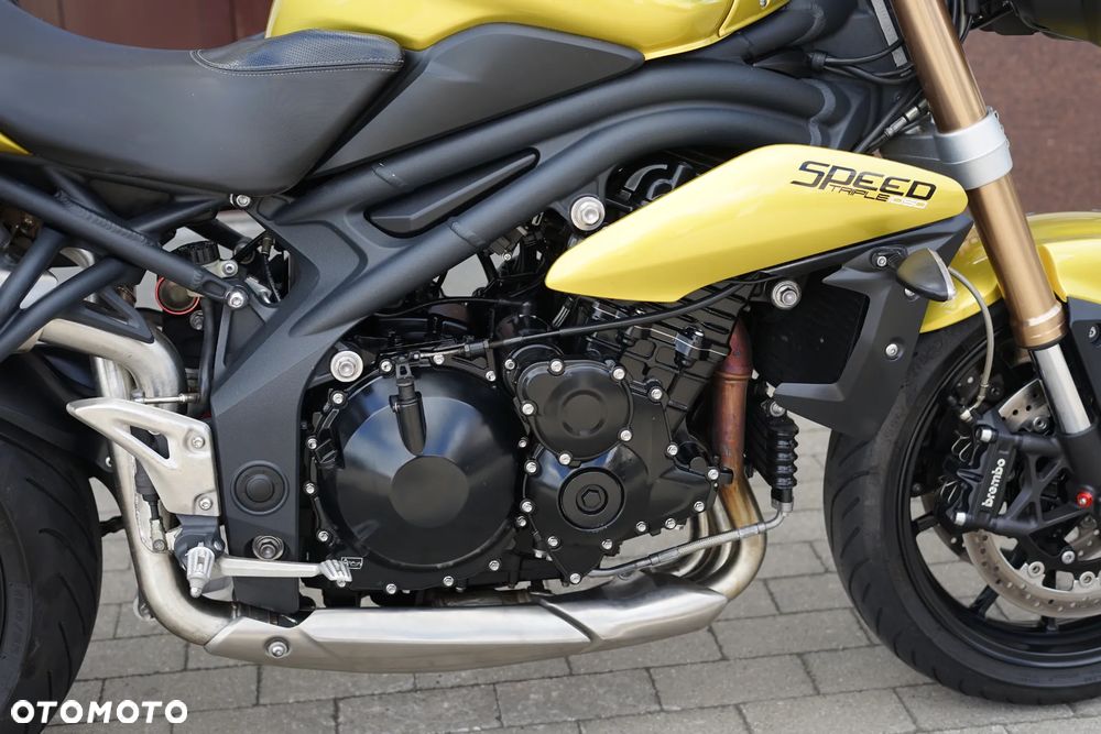 Triumph Speed Triple - 11