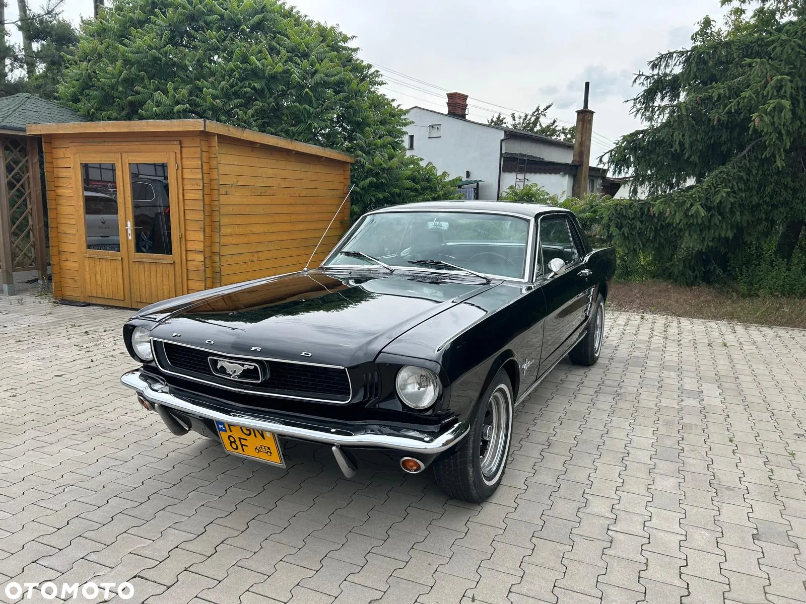Ford Mustang - 10