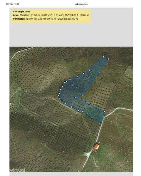 Terreno 15000m2 (1,5h) - Grande imagem: 2/12