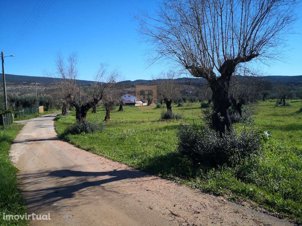 Oportunidade moradia T2 no campo - Freixianda - Grande imagem: 5/8