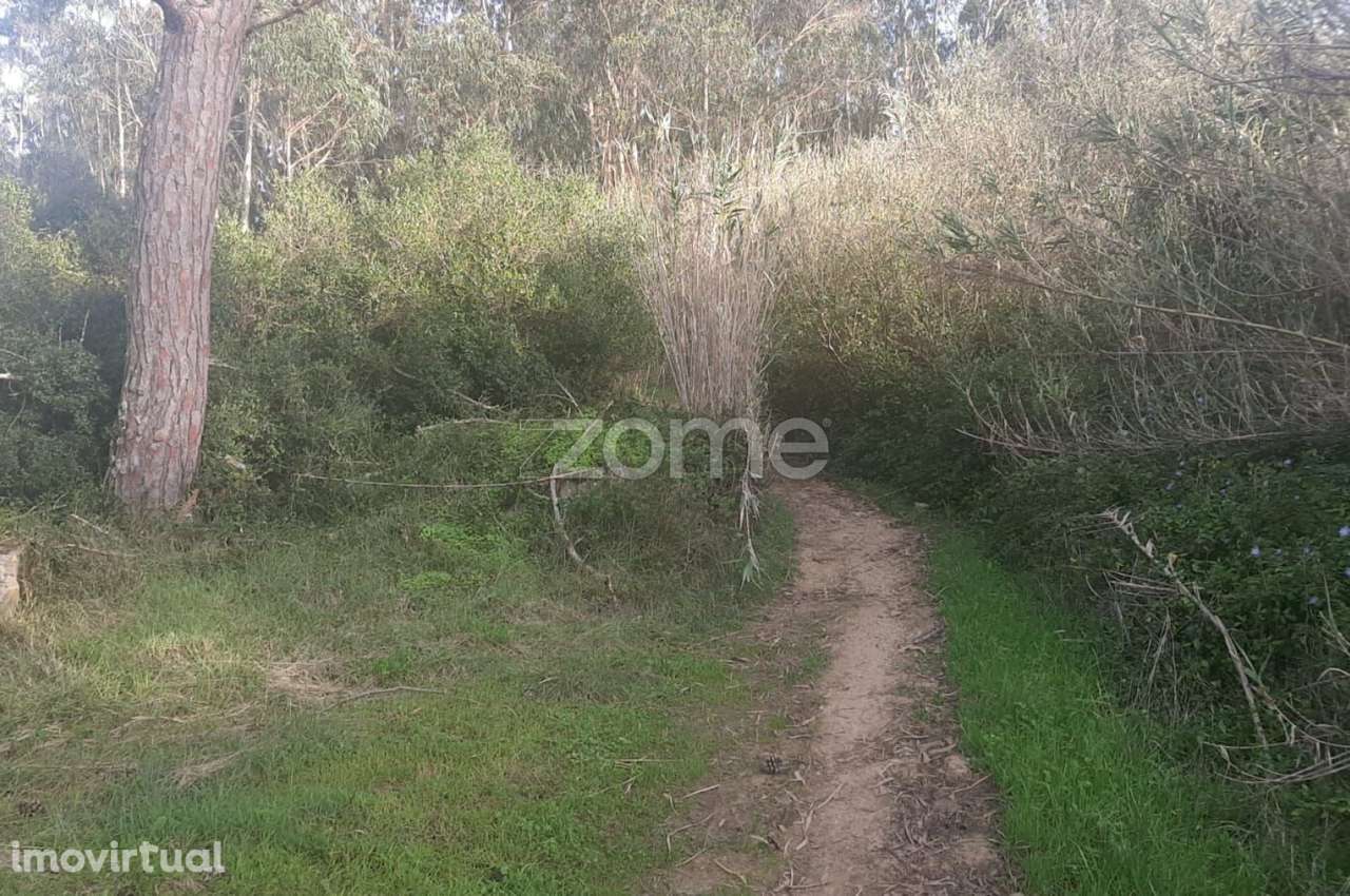 Terreno Rustico, União das freguesias de São das lampas e terrugem - Grande imagem: 3/8