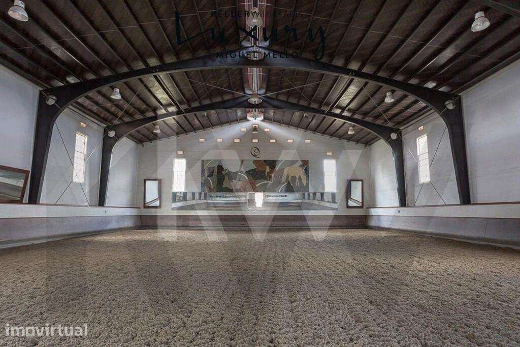 Fantástica Quinta a 15 minutos de Lisboa - Grande imagem: 2/60