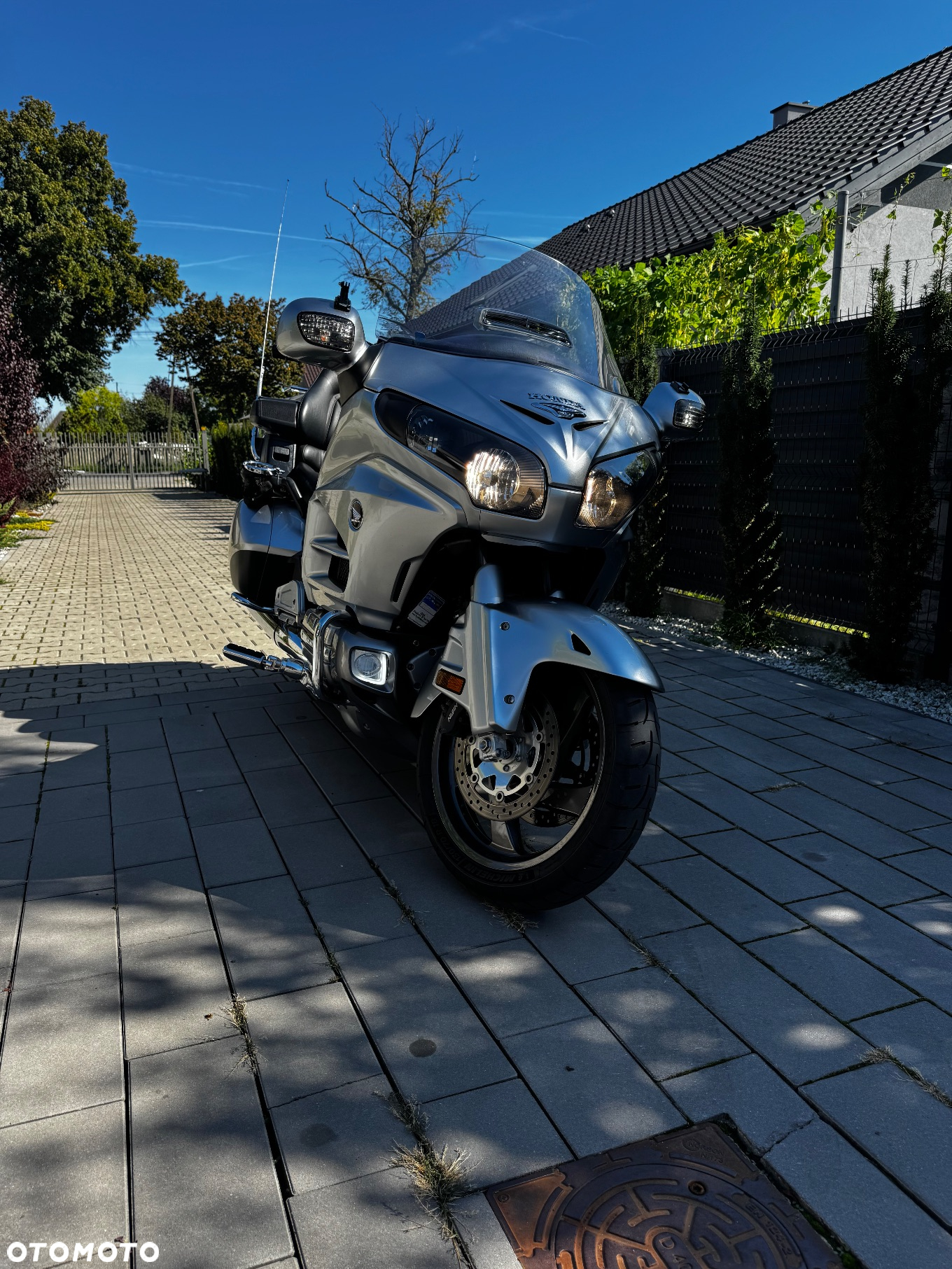 Honda GL - 8