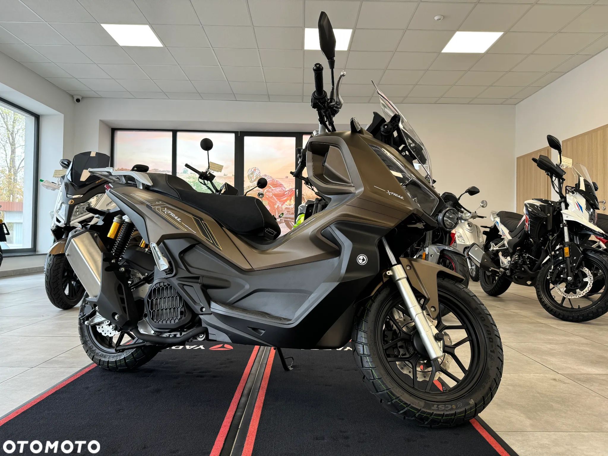 Barton X-Trail - 1