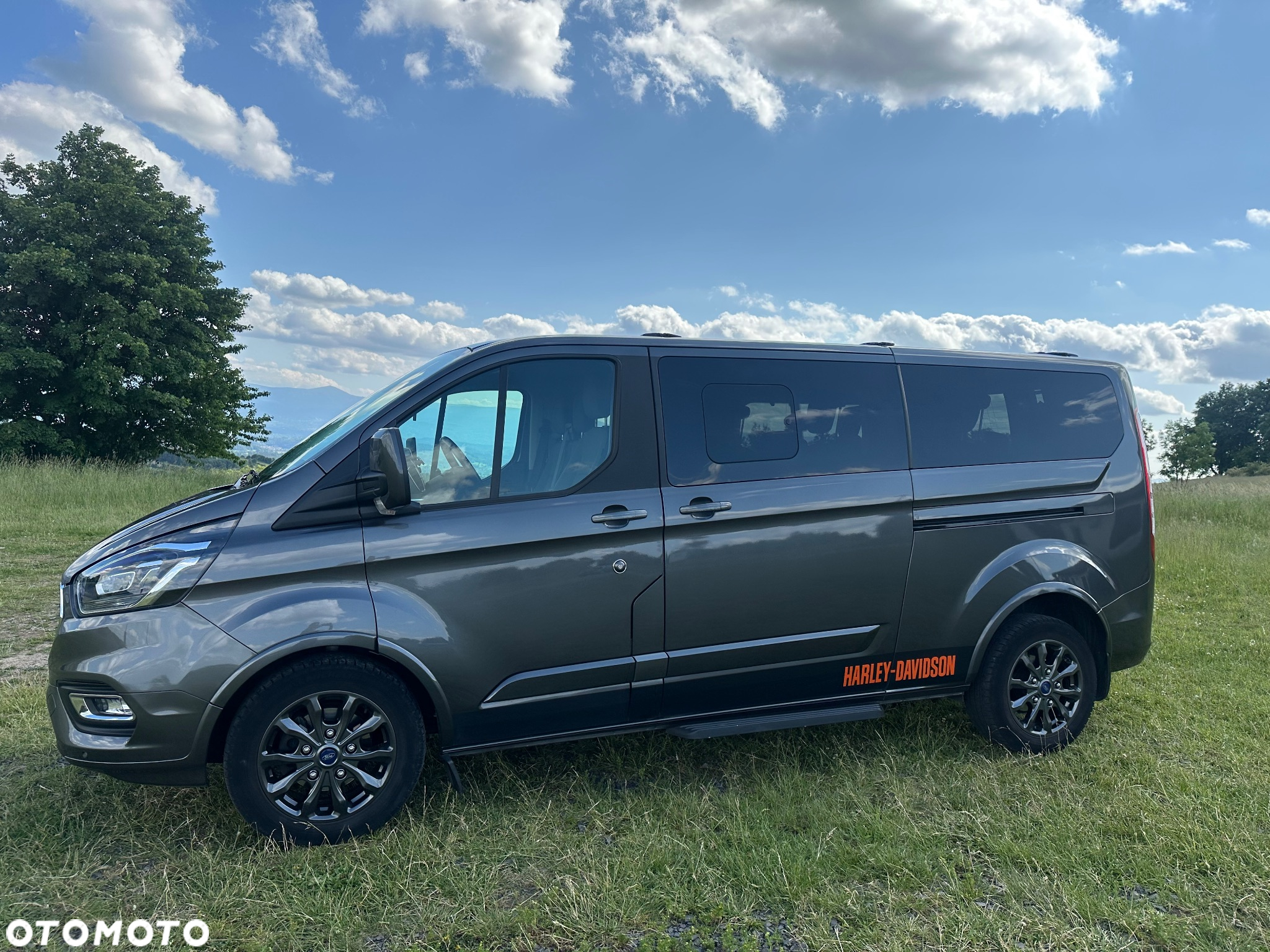 Ford Tourneo Custom - 8