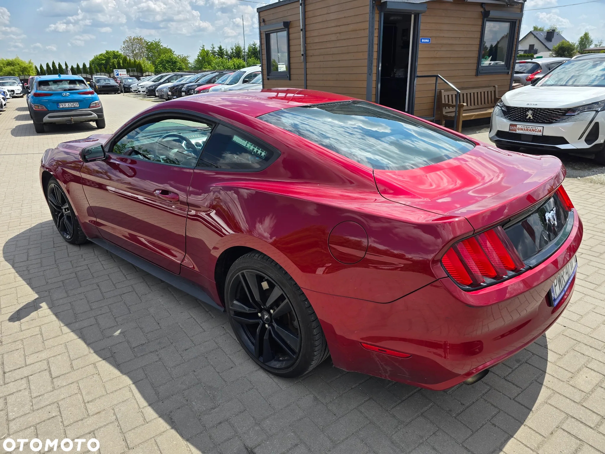 Ford Mustang - 5