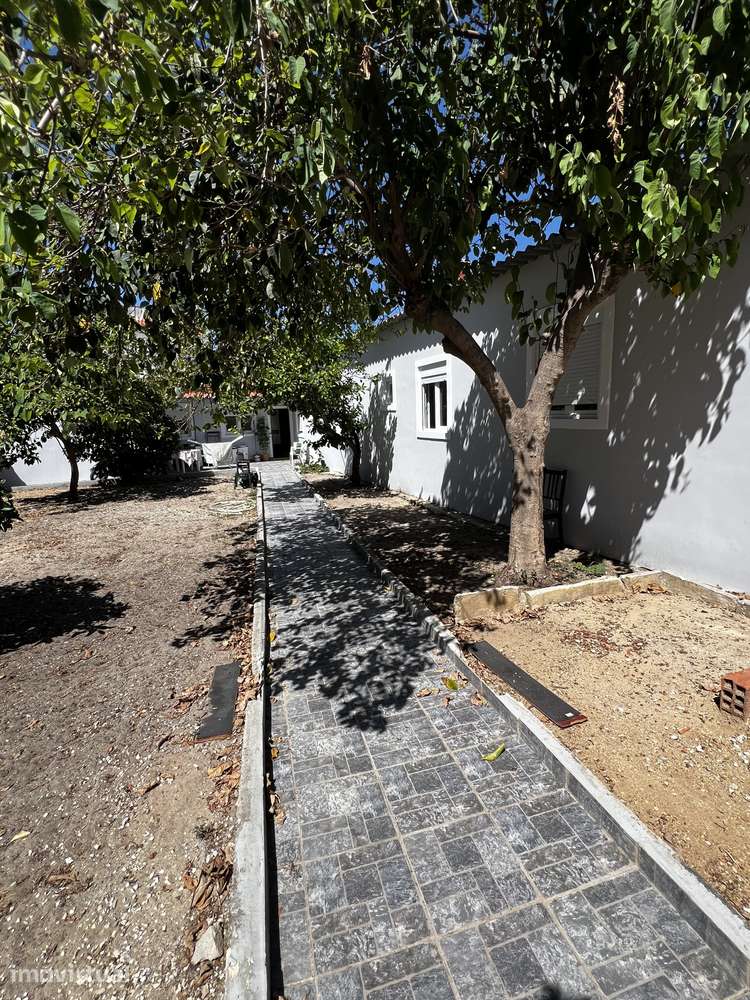 Excelentes quartos para arendar, mobilhado, jardim, bem localizado! - Grande imagem: 3/18