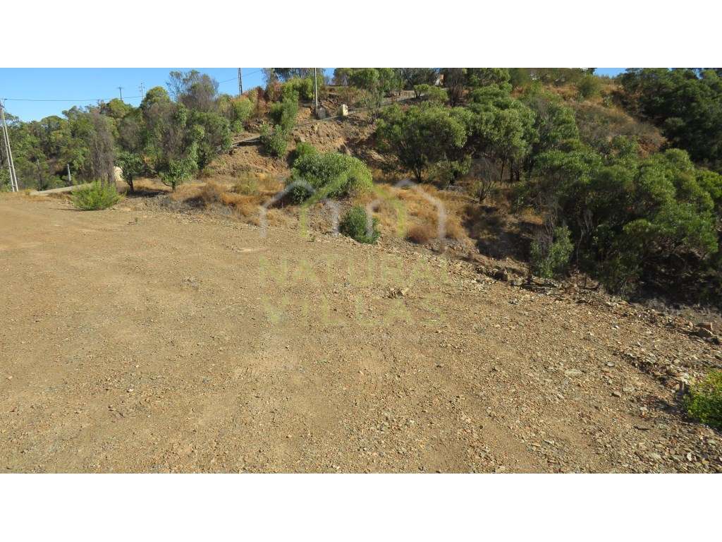 Terreno Rústico em Amendoeira, Tavira - Grande imagem: 2/9