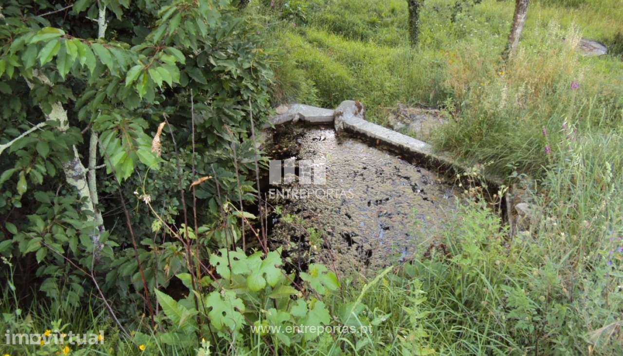 Venda Terreno, Sande, Marco de Canaveses - Grande imagem: 4/7