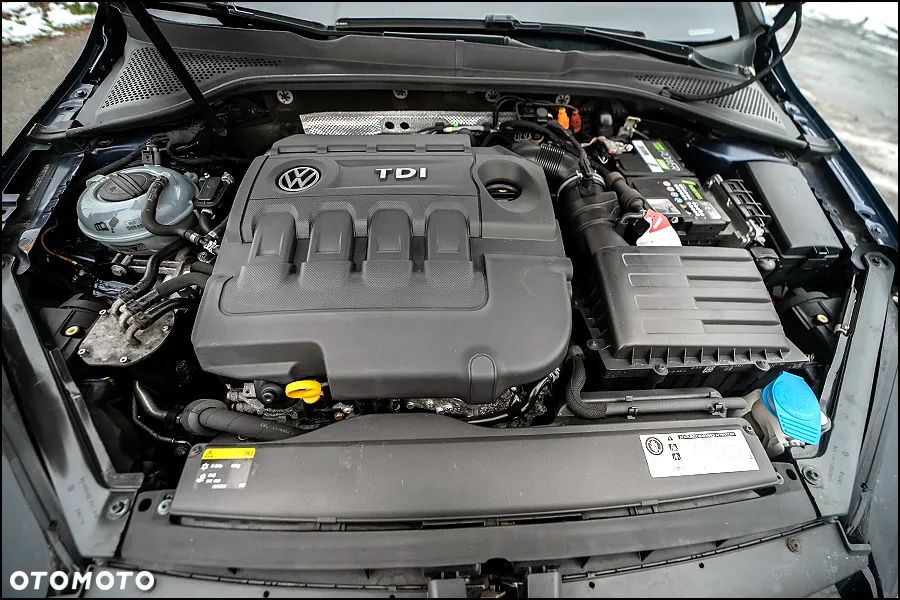 Volkswagen Golf - 36