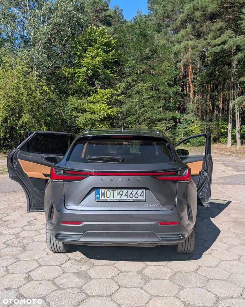 Lexus NX 350h Prestige AWD - 16