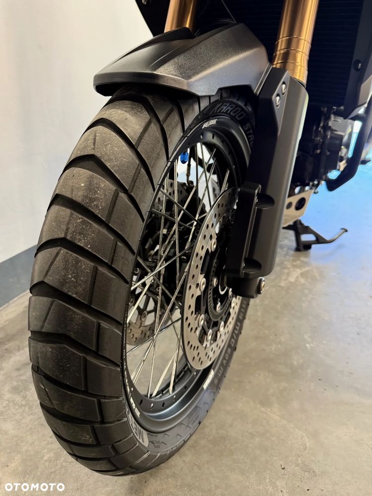 Triumph Tiger - 22