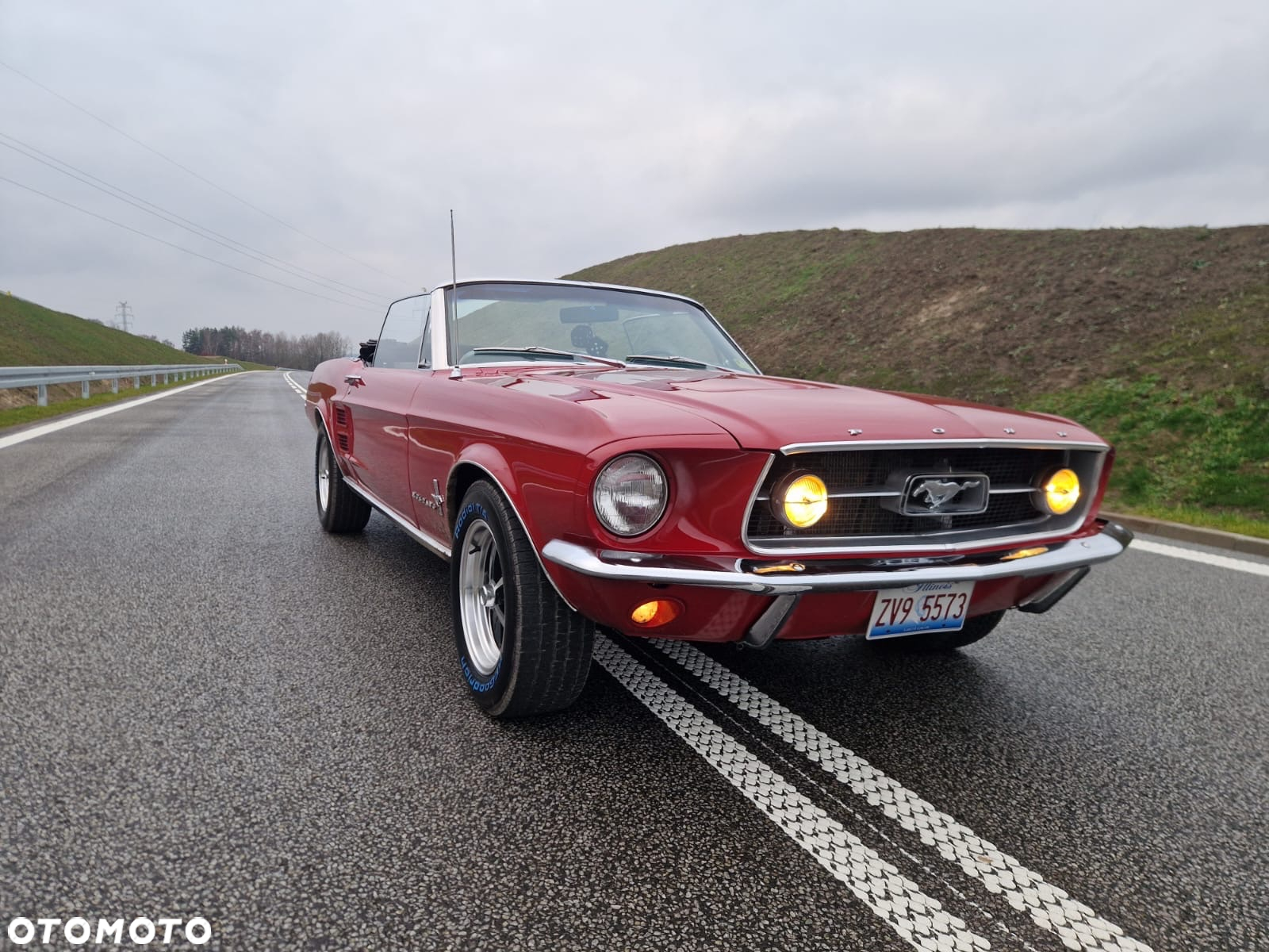 Ford Mustang - 14