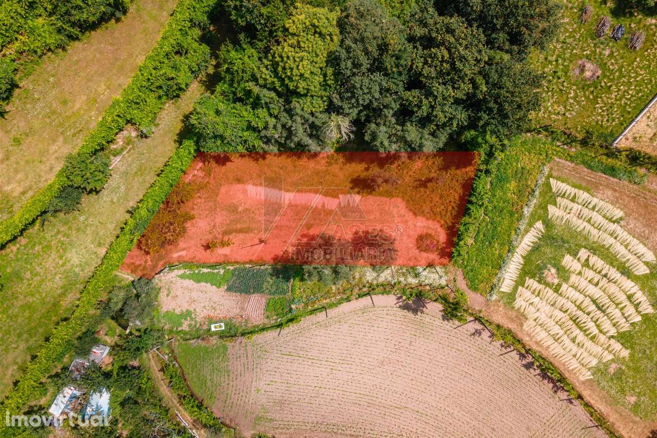 DUAS MORADIAS E ANEXO EM REVELHE - FAFE! - Grande imagem: 3/25