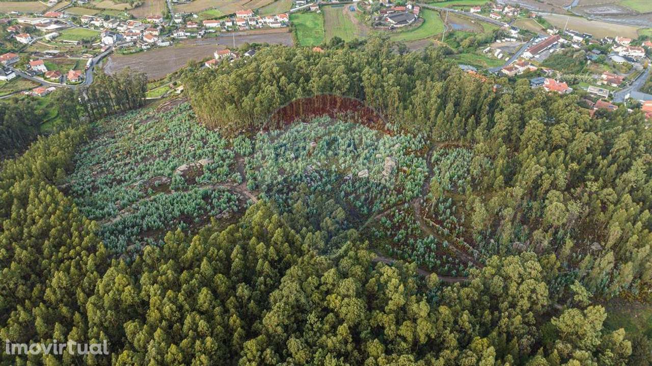 Terreno  para venda - Grande imagem: 2/11