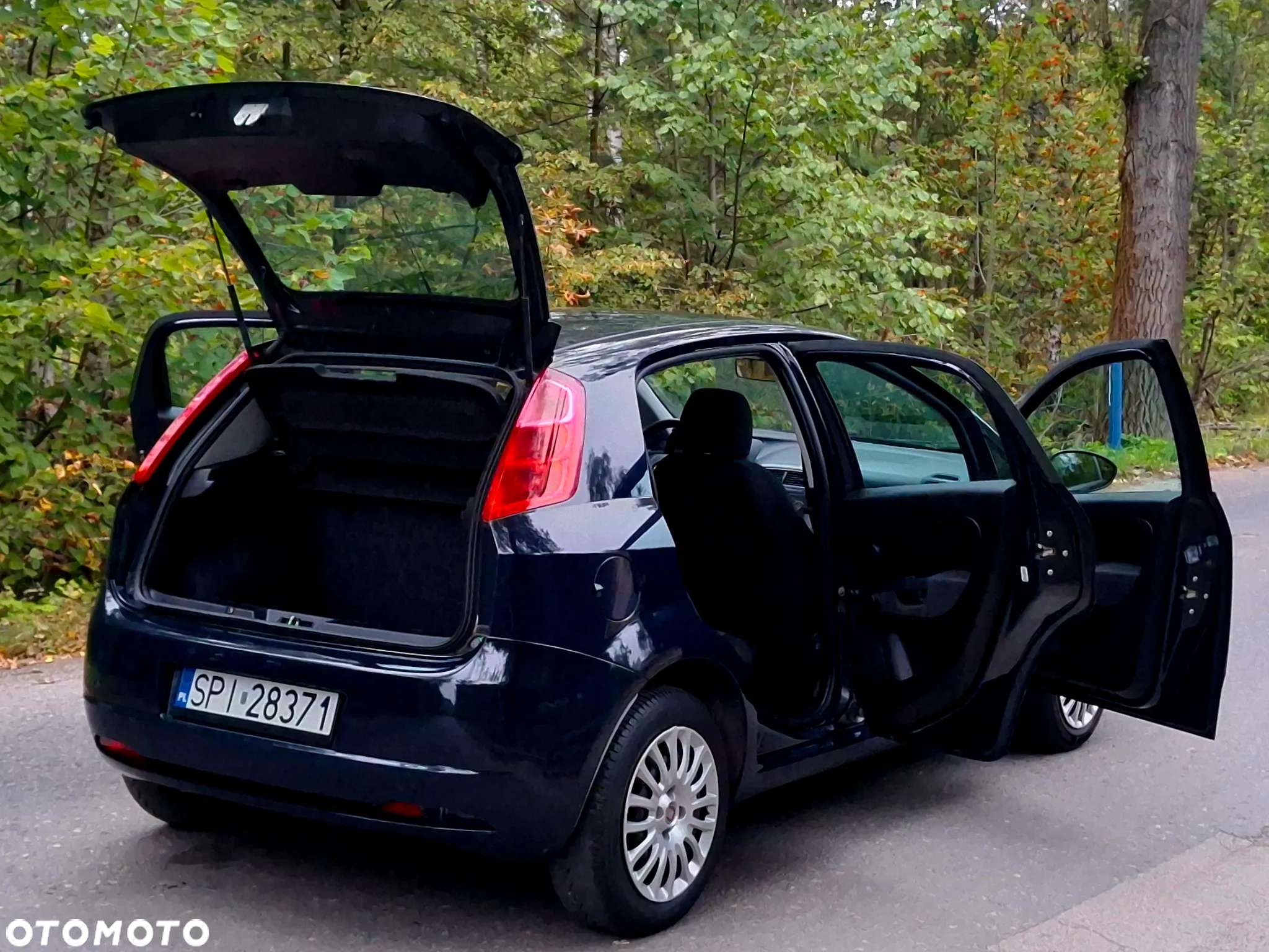 Fiat Grande Punto Actual 1.2 8V Estiva - 10