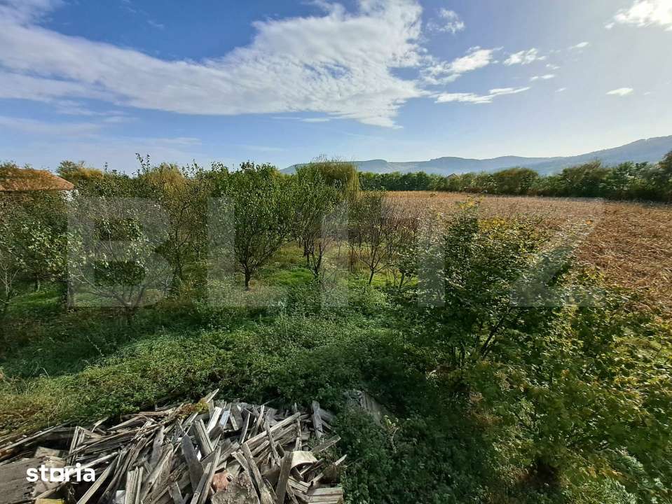 Teren intravilan de 18927 mp, Hala P+1 250 mp, Ocna Mures - Imagine principală: 4/6
