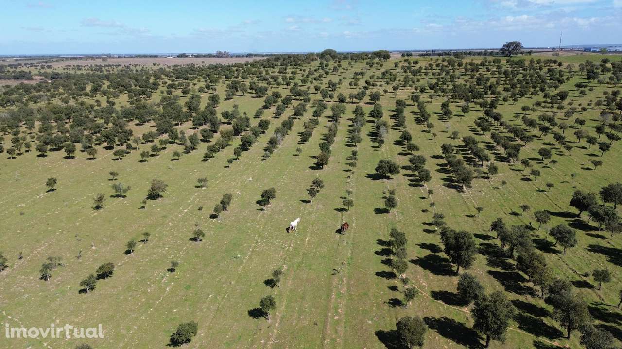Herdade de 60,7 hectares a poucos minutos da A2 - Grande imagem: 2/24