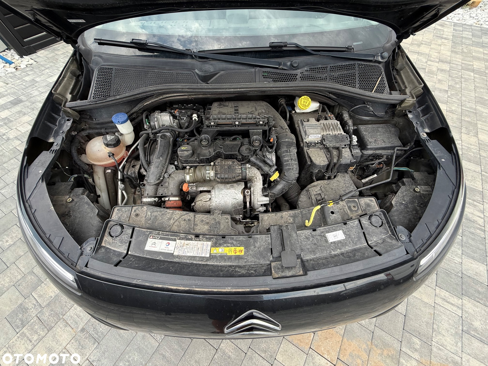 Citroën C4 Cactus 1.6 Blue HDi Shine Edition - 19