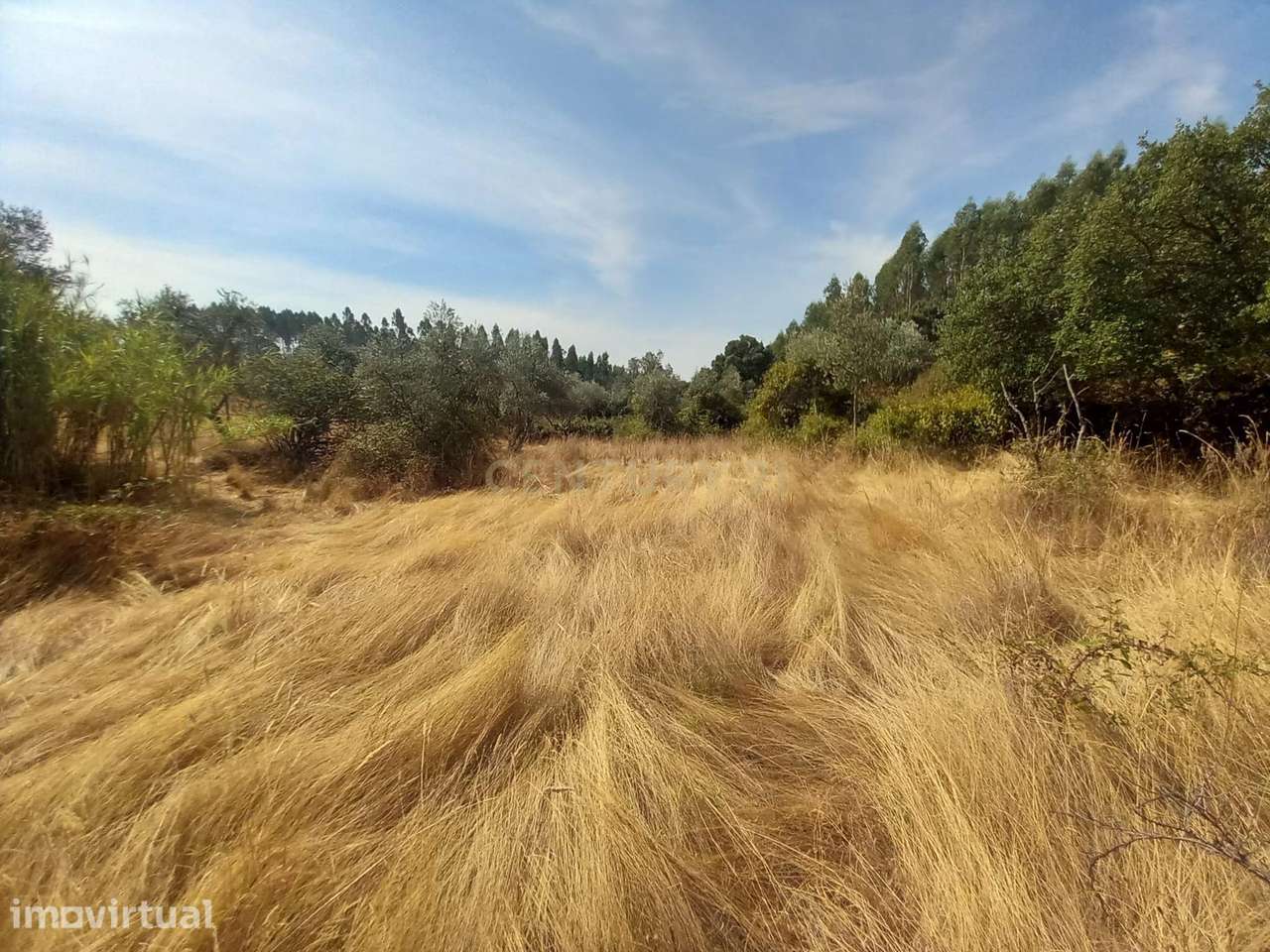 Terreno Rustico com 30960m2 - Grande imagem: 2/10