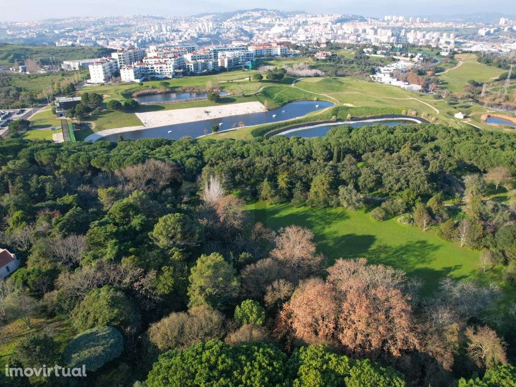 Moradia T6 com 2430m2 de Terreno para recuperar para Venda no Lumia... - Grande imagem: 5/48